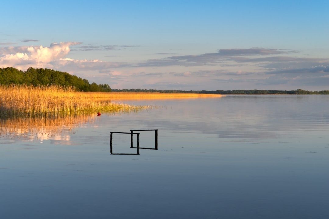 Ruhiger See mit Schilfufer, Baumreihe und schwimmendem Rahmen
